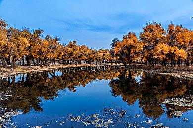 《魔戒：咕噜》Switch版12月14日发售 新预告发布